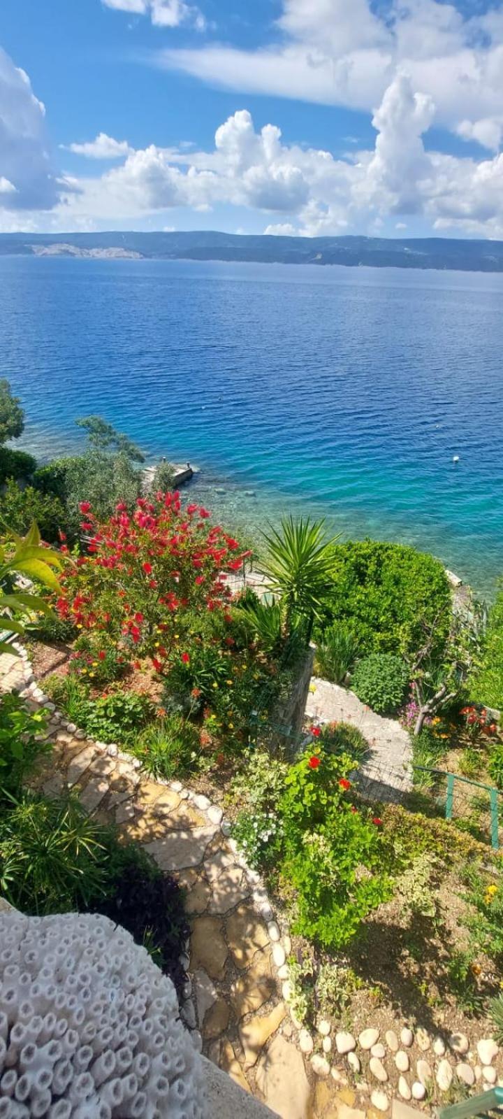 Apartment Toncica Omiš Eksteriør bilde