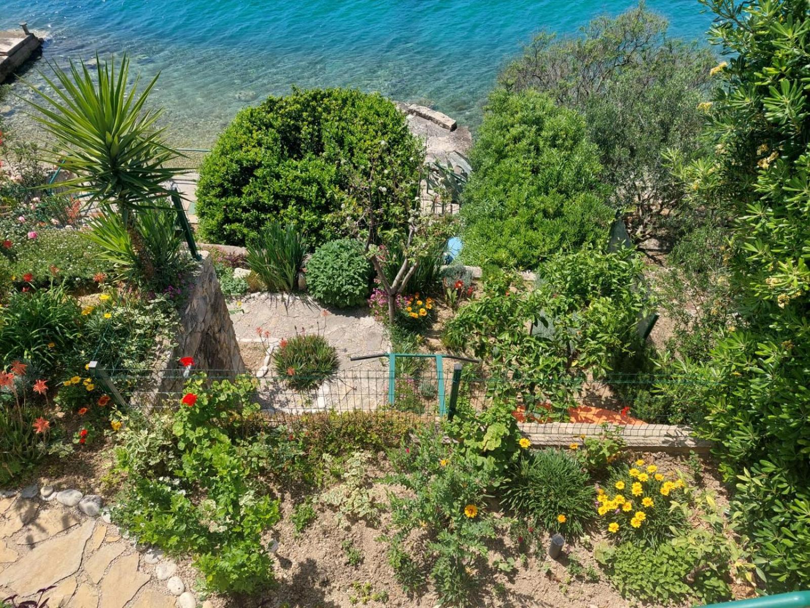 Apartment Toncica Omiš Eksteriør bilde