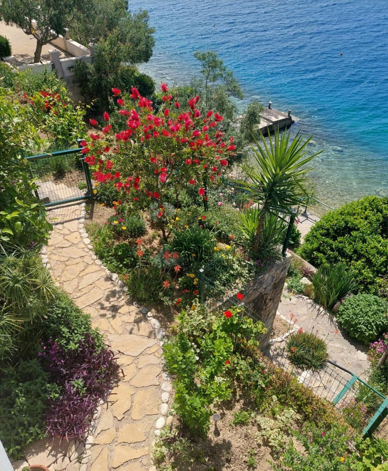Apartment Toncica Omiš Eksteriør bilde